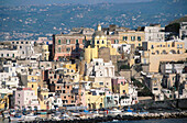 Corricella, Procida Island. Campania. Italy