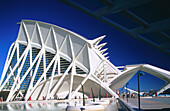Museo de las Ciencias Príncipe Felipe, City of Arts and Sciences, by S. Calatrava. Valencia. Spain