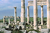 Ruins of Roman city. Apamea. Syria