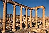 Ruins of the old Greco-roman city of Palmira. Syria