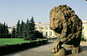 Michaelovsky Palace (Russian museum) with lion statue at fore. St. Petersburg. Russia