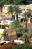 Overview on dwellings and palmes. Sehel island. Aswan. Egypt