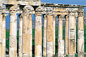 Roman city ruins. Apamee. Syria