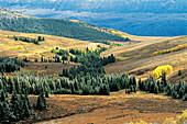 Big Horn Mountains at fall. Wyoming. USA