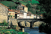 Gorges du Tarn. Roquefot. Aveyron. France