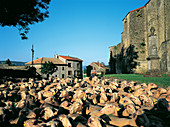 Flock of sheep. St. Jean d Alcas. Roquefot. Aveyron. France
