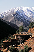 Mount Toubkal (4,165 m.), the highest mountain in Morocco