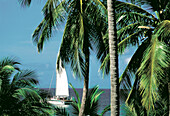 Sailboat. Department of Guadeloupe. France
