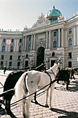Horses and carriages at the Hofburg Palace. Vienna. Austria