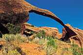 Arches National Park. Utah. USA