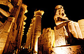 Luxor temple at night. Egypt