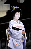 Maiko (geisha apprentice). Kyoto. Japan
