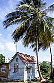 Chattel house (small movable wooden home often coloured). Bridgetown. Barbados