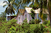Houses. Barbados. West Indies