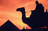 Sunset on pyramids. Gizeh. Egypt