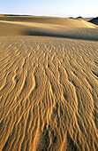 Sand dunes at sunrise. Djanet oasis, Sahara. Algeria