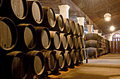 Gonzales Byass cellars, makers of Tio Pepe fino. City of Jerez de la Frontera. Andalucia. Spain