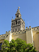 The cathedral and Giralda tower (formerly a mosque minaret). City of Sevilla. Andalucia. Spain