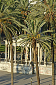 Piazza Ruggero Settimo known as piazza Politeama. Palermo, main city of Sicily. Italy