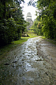 Maya archeological site of Tikal . Guatemala