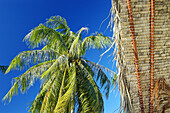 Bora Bora island. French Polynesia. South Pacific.