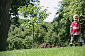 Boy (4-5 years) with a spade in a garden, Styria, Austria
