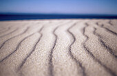  Beach, Beaches, Color, Colour, Concept, Concepts, Daytime, Exterior, Horizon, Horizons, Horizontal, Nature, Outdoor, Outdoors, Outside, Pattern, Patterns, Ripple, Ripples, Sand, Sea, Surface, Surfaces, Wave, Waves, A75-198729, agefotostock 
