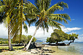 Raiatea island. French Polynesia. South Pacific.