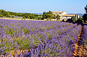 Villa in Reillanne. Alpes de Haute-Provence, Provence, France