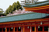 Heian shrine in spring. Kyoto, Japan