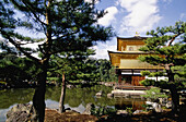 Kinkaku-Ji (Golden Pavilion). Kyoto. Japan
