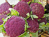 Broccoli at daily market near the cathedral, Catania. Sicily, Italy