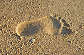Footprint.The luxurious Rocktail Lodge located in a private park by the seaside near Saint Lucia Park. Kwazulu-Natal province. South Africa