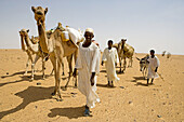 Bedouins on the trail from Dongola to Soleb through the Nubian desert. Upper Nubia, ash-Shamaliyah state, Sudan