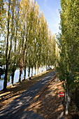 Creuse river. Yzeures-sur-Creuse. Indre-et-Loire (37). Touraine. France