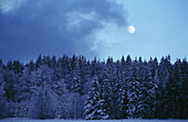 Full moon in the Bavarian Forest National Park. Germany
