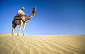 Camel rider at desert. Rajasthan. India
