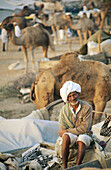 Camel fair in Pushkar. Rajasthan. India
