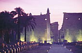 Nectanebo court, temple of Luxor. Egypt