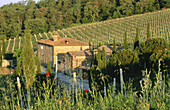 Farmhouse. Chianti. Tuscany. Italy
