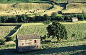 Swaledale in North Yorkshire. England, UK