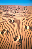 Footpronts in sand