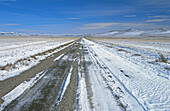 Road, Mongolia
