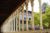 Gothic cloister of Sant Francesc convent built 13th-14th century, Palma de Mallorca. Majorca, Balearic Islands. Spain