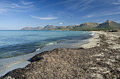 Son Serra de Marina, Alcúdia bay with cap Ferrutx at the back. Majorca. Balearic Islands. Spain