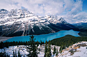 Peyto Lake in the Banff National Park. Rocky Mountains. Alberta. Canada