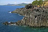 Jusangjeollidae Rocks. Jeju Island, Republic of Korea.