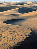 Sand dunes, Oasis Maspalomas, Gran Canaria, Canary Islands, Spain