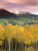 Aspens in fall color in foreground. Mount Wilson. San Juan National Forest. Colorado. USA.