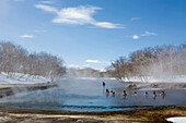 Winter in Kamtschatka, Sibirien, Russland, Eine Gruppe Männer beim Baden im heissen Fluss, einer heisse Quelle beim Vulkan Khodutka